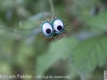 Hello!