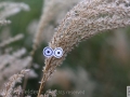 windy day